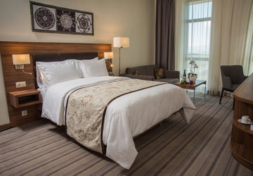 Hotel Premier Airport 4*